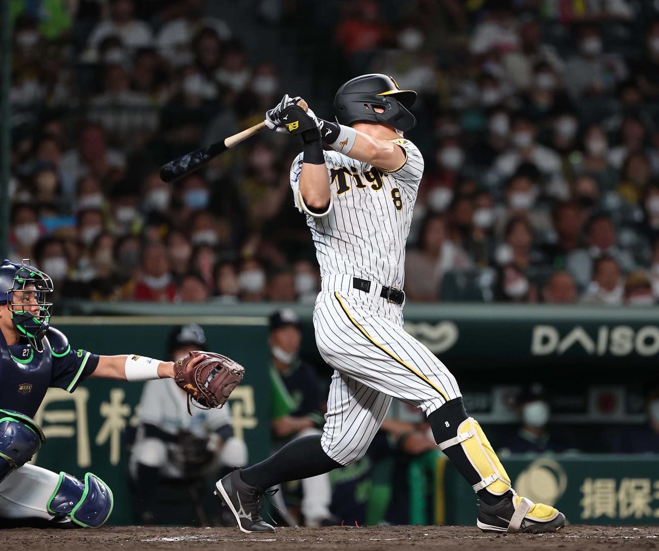阪神対ヤクルト　5回裏阪神無死、佐藤輝は左越えソロ本塁打を放つ（撮影・上田博志）