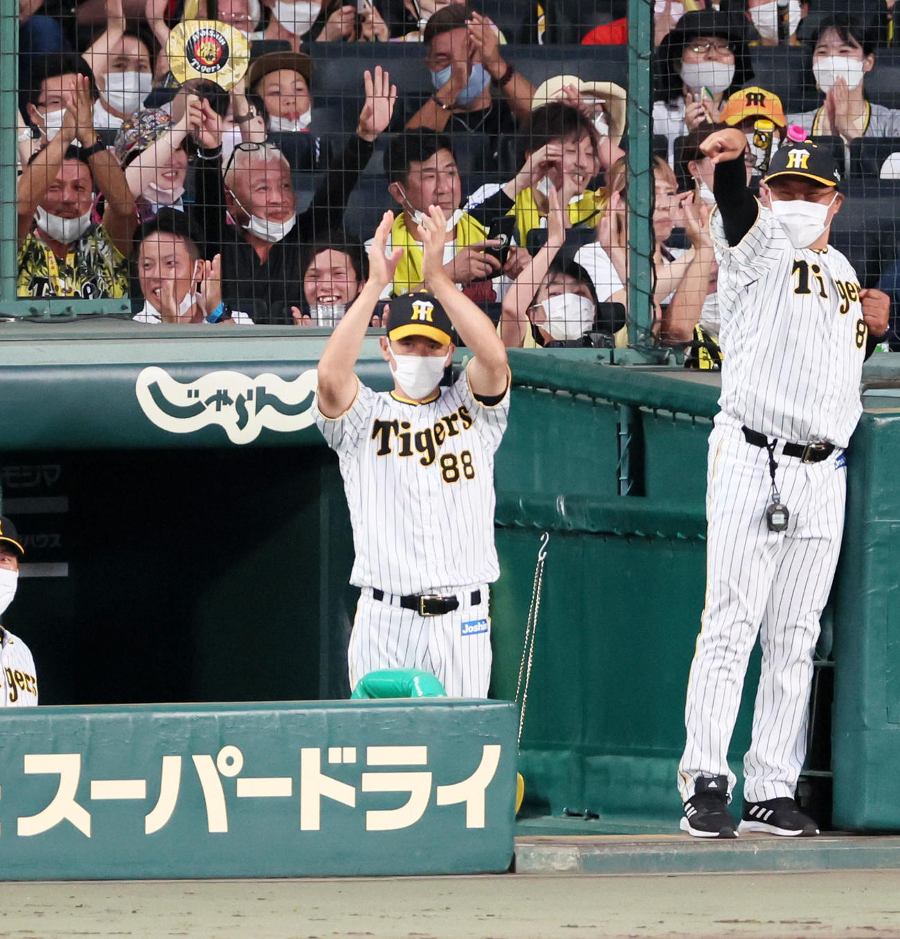 阪神対ヤクルト　4回裏阪神2死一、二塁、矢野監督は糸原の中前適時打にベンチから拍手を送る。右は北川コーチ（撮影・加藤哉）