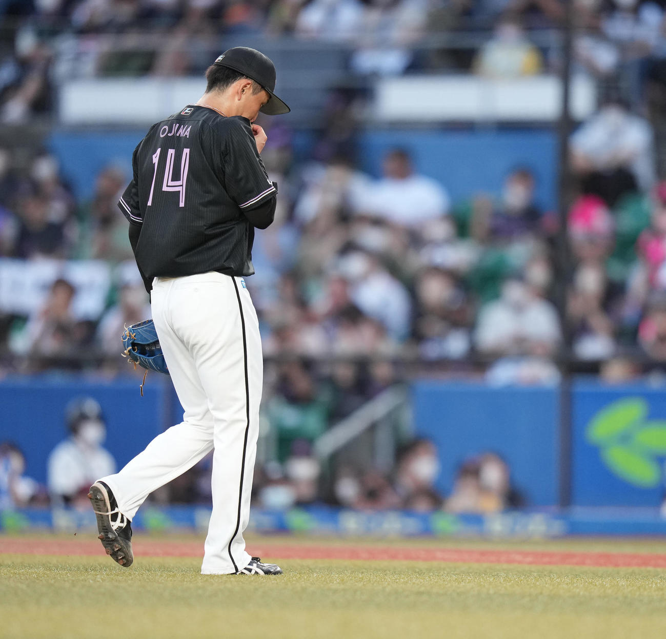 ロッテ対オリックス　4回表に3点を失い、うつむきながらベンチへ戻るロッテ小島（撮影・鈴木みどり）