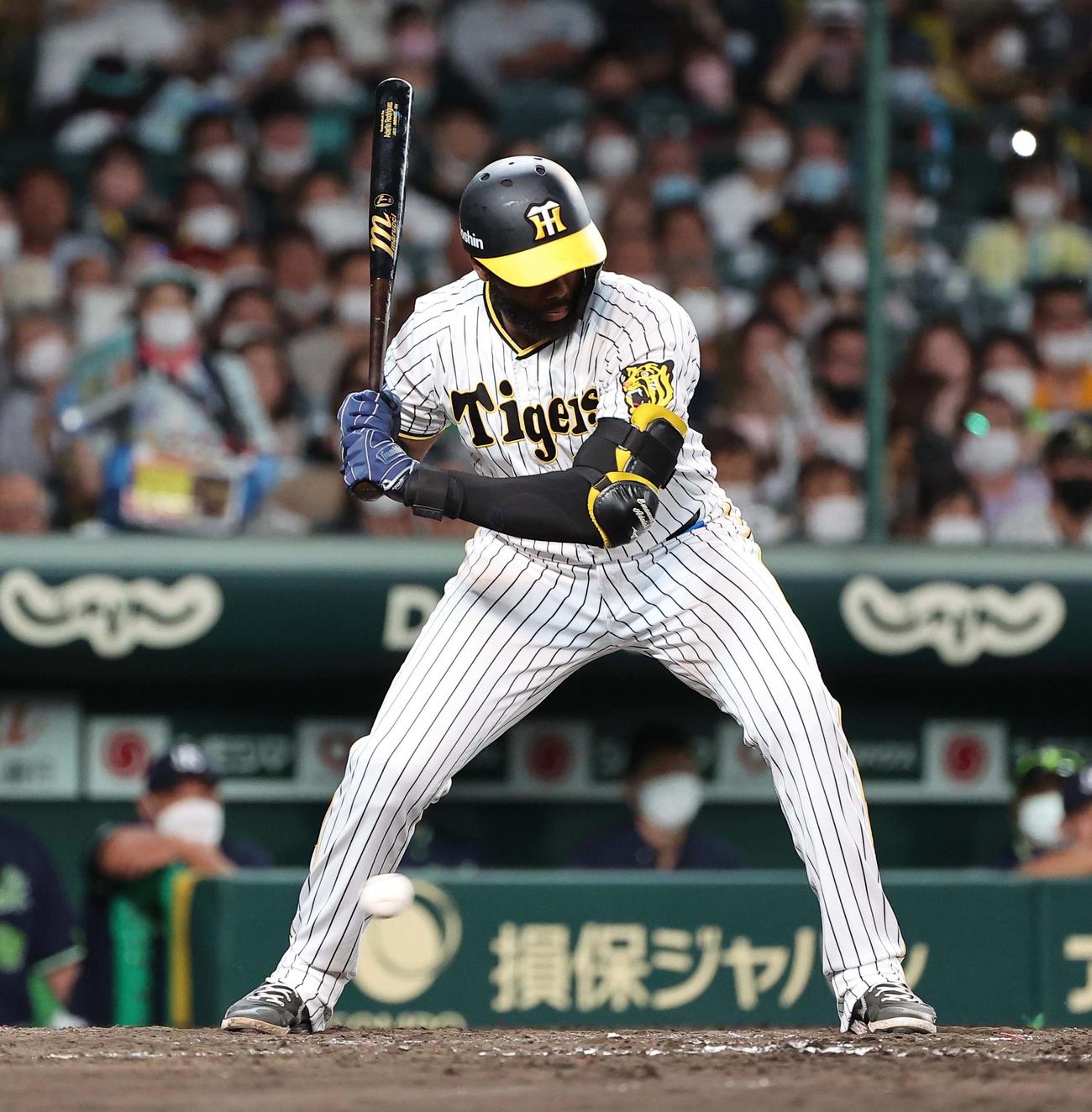 阪神対ヤクルト　4回裏阪神2死一、二塁、ロドリゲスは四球を選ぶ（撮影・上田博志）
