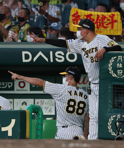 阪神対ヤクルト　4回裏阪神無死一塁、三塁、矢野監督は（左）右犠飛を放った糸原健に指をさし喜ぶ（撮影・白石智彦）
