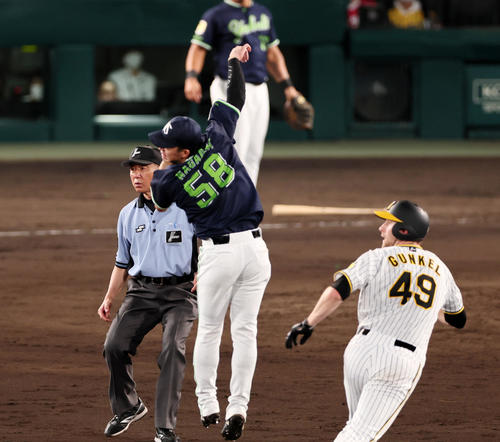 阪神対ヤクルト　5回裏阪神無死一、二塁、長岡は中野の捕前犠打を村上から悪送球となる捕球出来ず。一塁走者はガンケル（撮影・加藤哉）