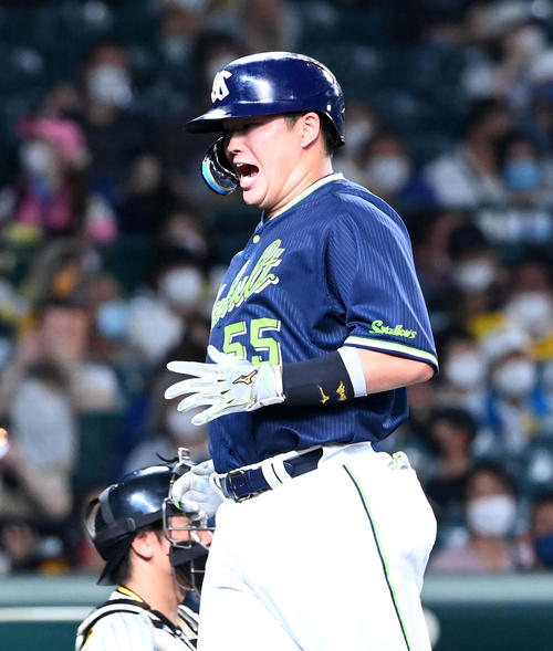 阪神対ヤクルト　7回表ヤクルト無死、左越え本塁打を放ち本塁でほえる村上（撮影・前岡正明）