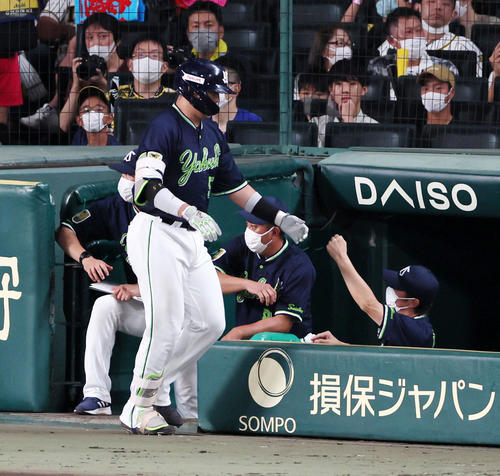 阪神対ヤクルト　7回表ヤクルト無死、高津監督（右）は左越えソロ本塁打を放った村上をタッチで迎える（撮影・加藤哉）