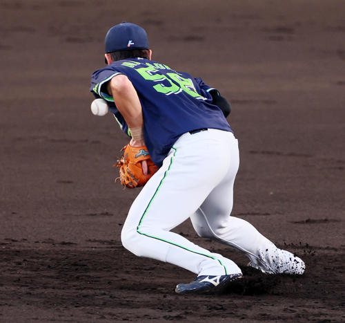 阪神対ヤクルト　3回裏阪神2死一塁、長岡は中野の打球をエラーする（撮影・加藤哉）