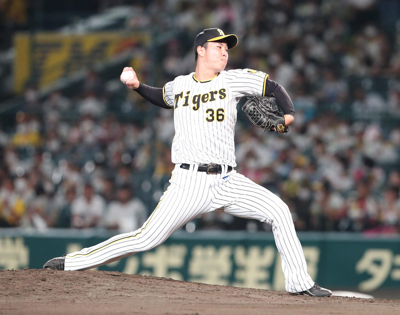 阪神対ヤクルト　ヤクルト戦に3番手で登板する浜地（撮影・白石智彦）