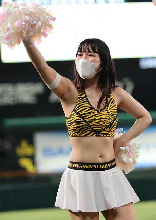 阪神 タイガース チアガール風衣装 応援 - 野球