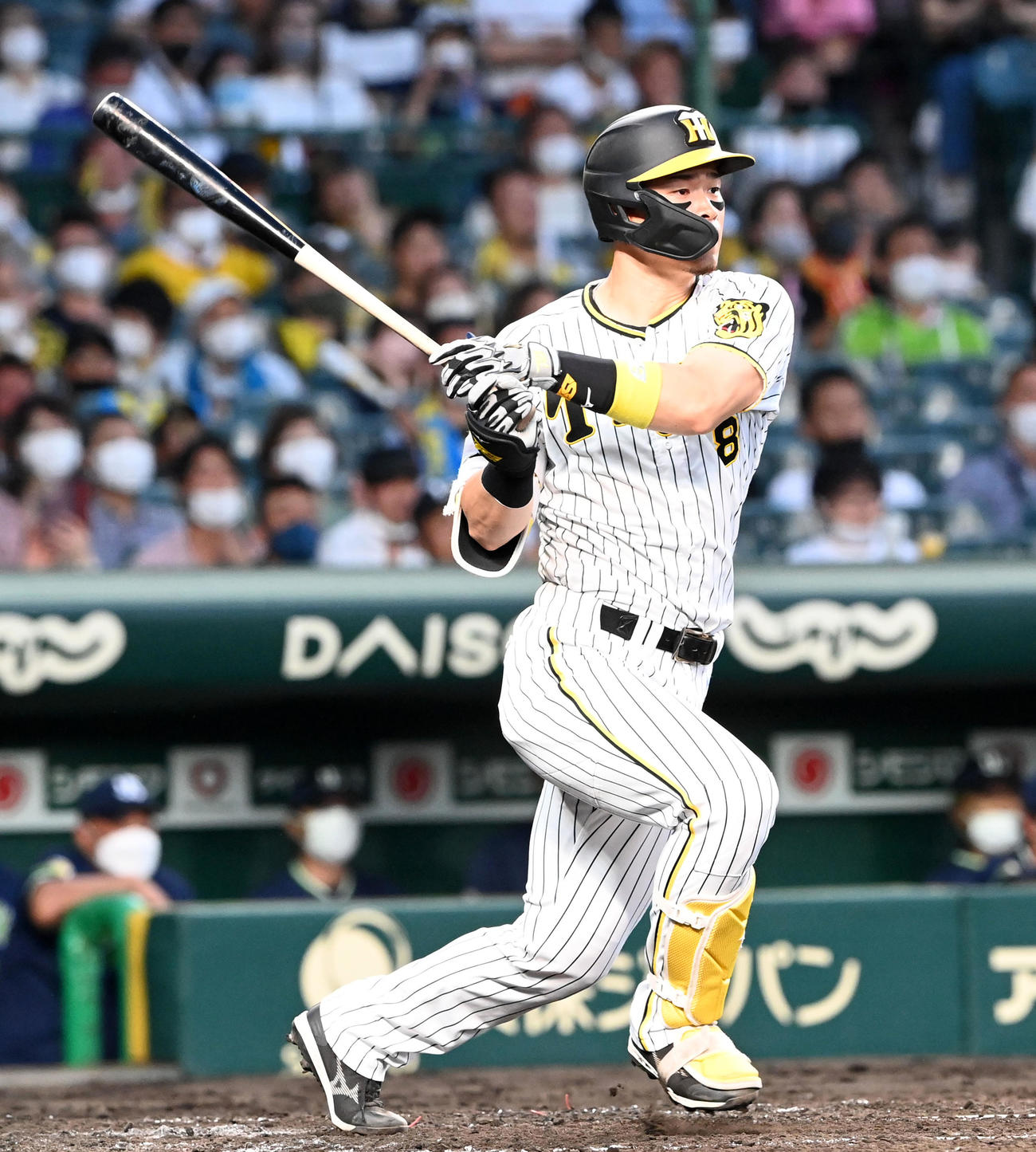阪神佐藤輝明（2022年7月31日撮影）