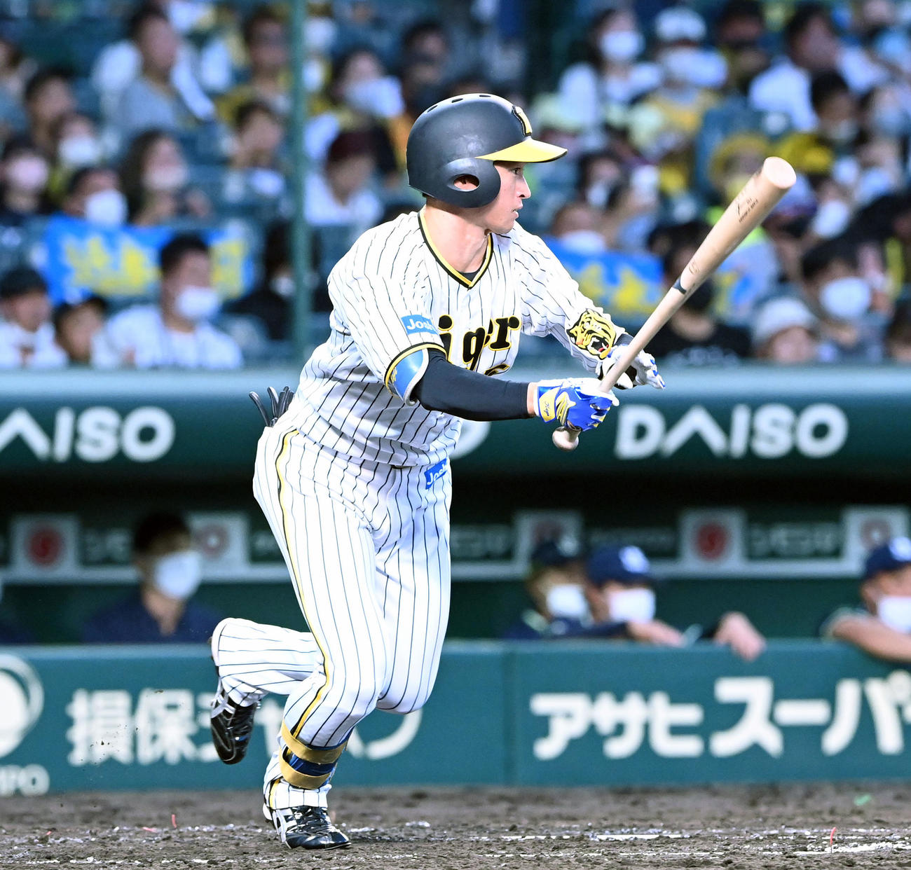 阪神近本光司（2022年7月31日撮影）