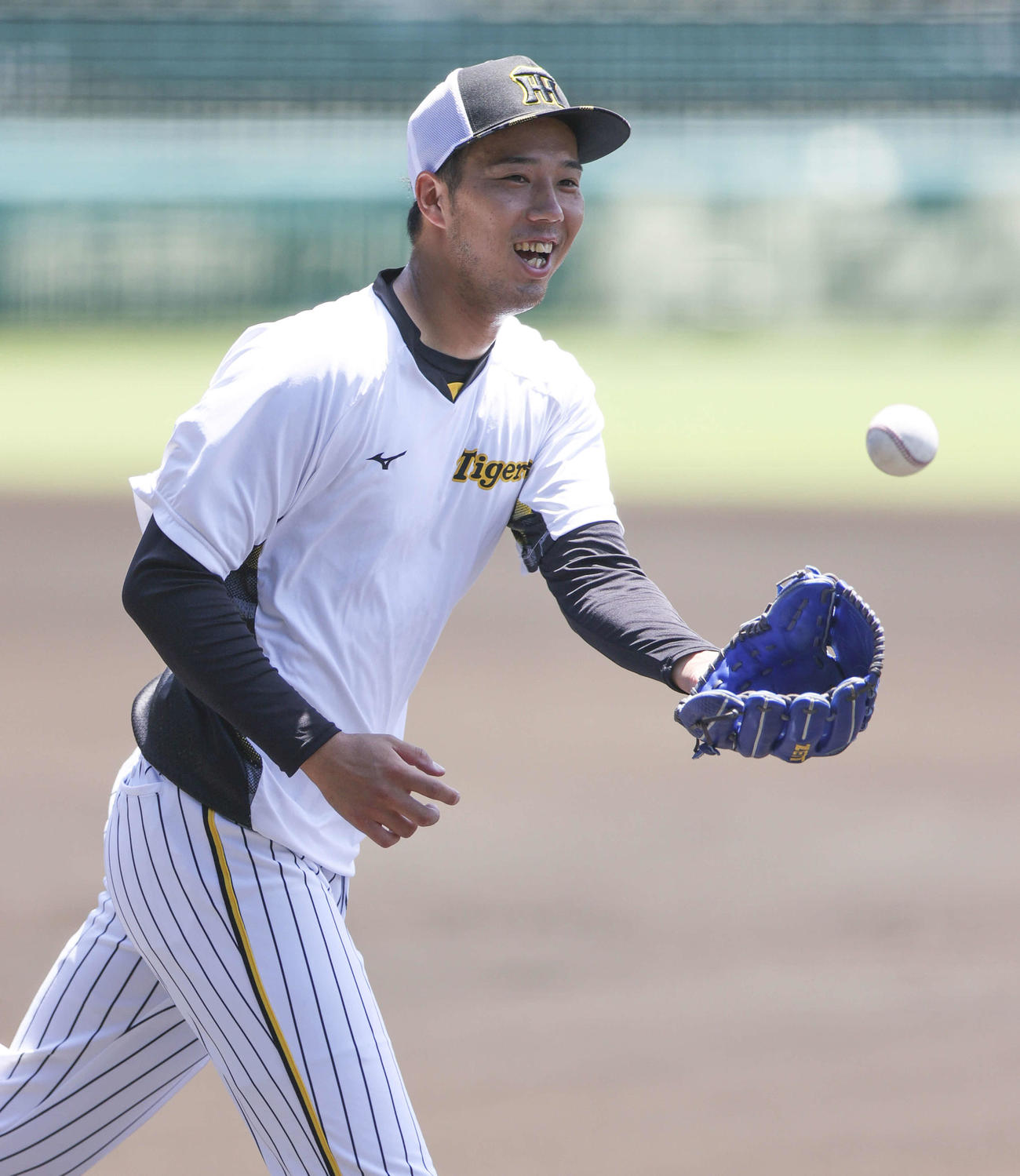 投内連係で汗を流す阪神青柳（撮影・上山淳一）