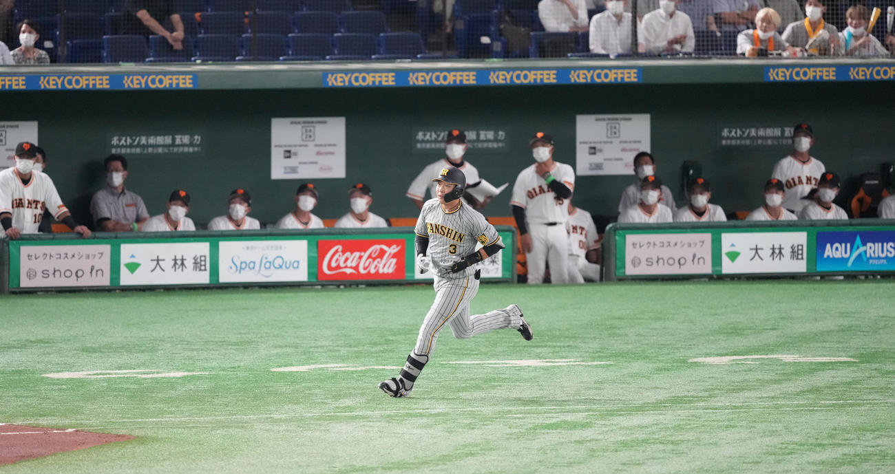 巨人対阪神　2回表阪神1死、右越えに先制のソロ本塁打を放ち、ダイヤモンドを回る大山（撮影・菅敏）