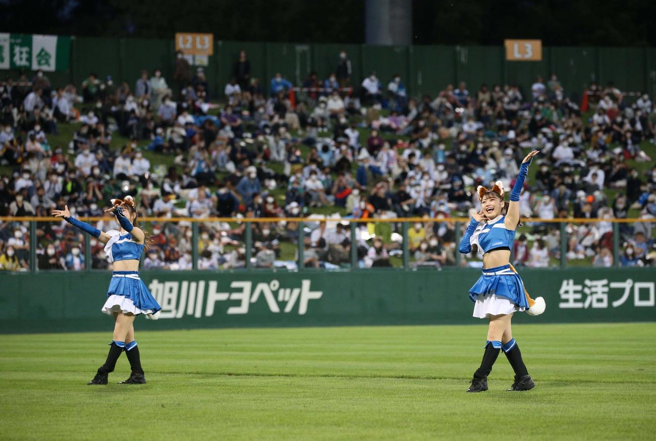 日本ハム対ソフトバンク　「きつねダンス」を踊るファイターズガール（撮影・黒川智章）