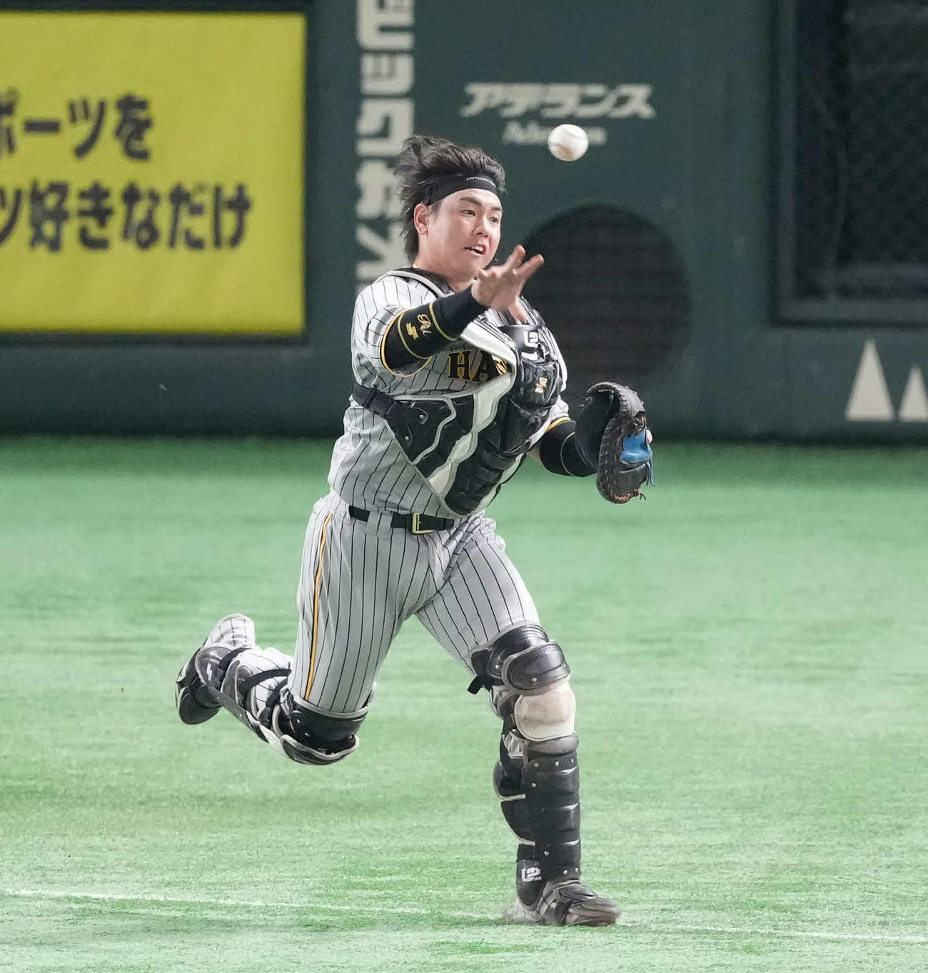 巨人対阪神　4回裏巨人無死一、三塁、捕手梅野はロドリゲスからの送球を三塁に転送（撮影・菅敏）