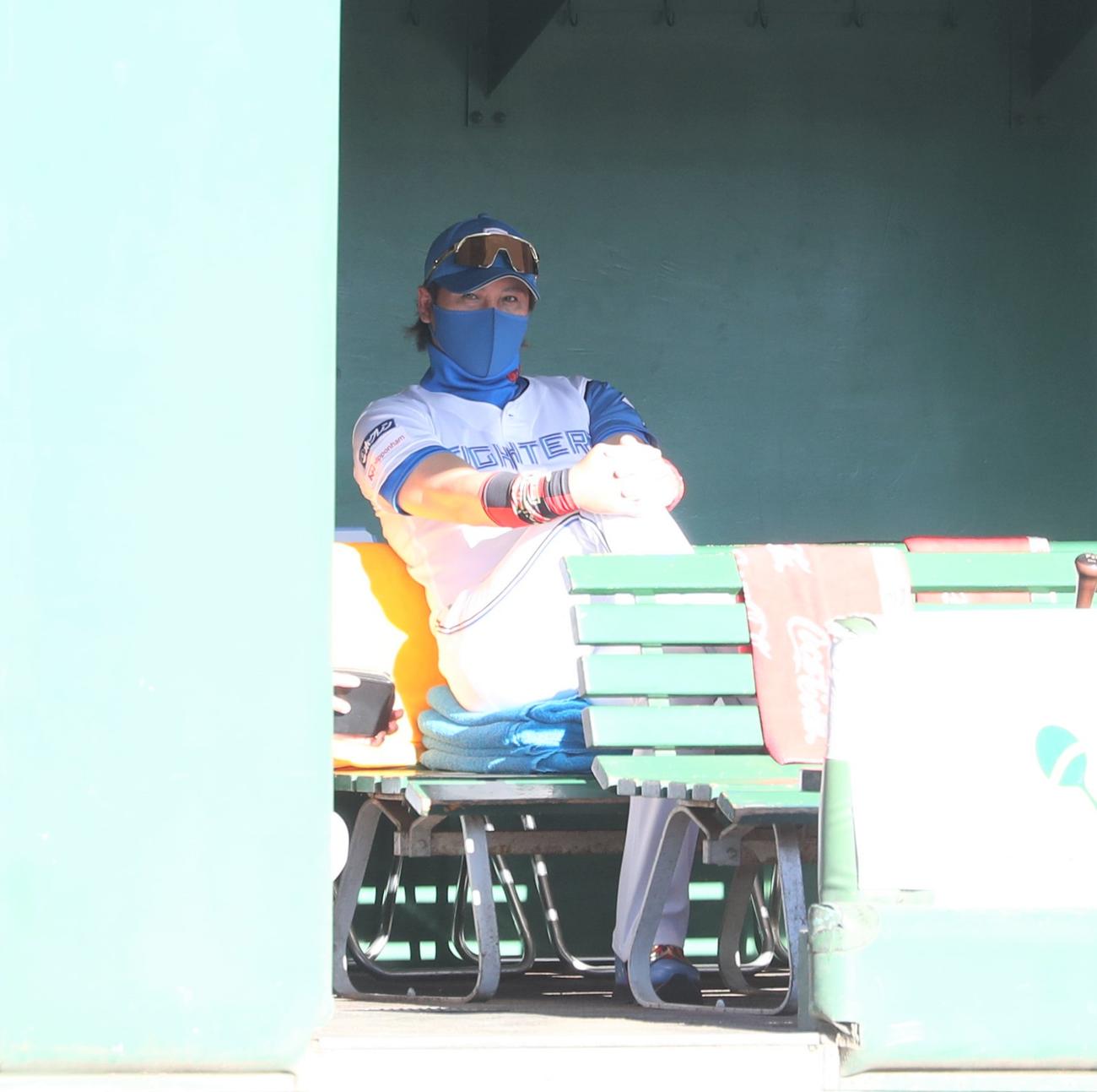 日本ハム対オリックス　ベンチで渋い表情の新庄監督（撮影・黒川智章）