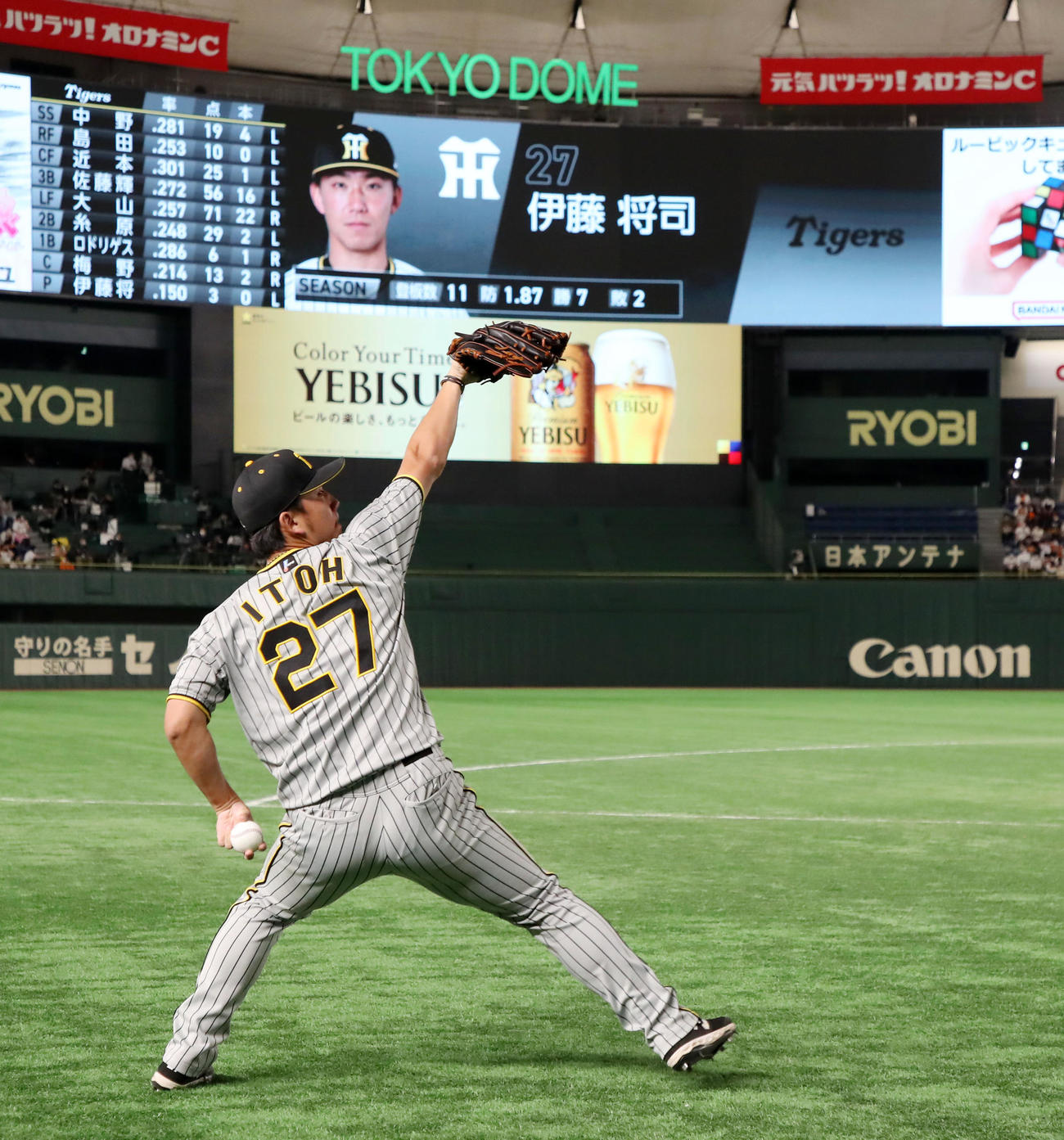巨人対阪神　試合前のキャッチボールを開始する伊藤将（撮影・加藤哉）