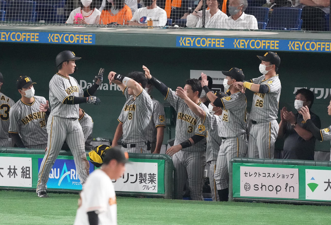 巨人対阪神　3回表阪神2死二塁、中野の先制の適時打で二塁から生還し、ナインに迎えられる梅野（左から2人目）（撮影・菅敏）