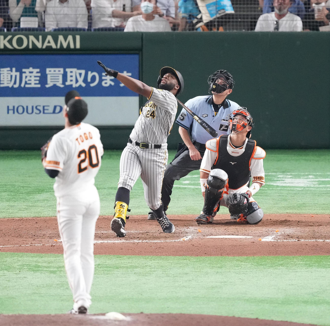 巨人対阪神　8回表阪神無死、天井に直撃し、二飛に倒れるロハス。投手戸郷（撮影・菅敏）