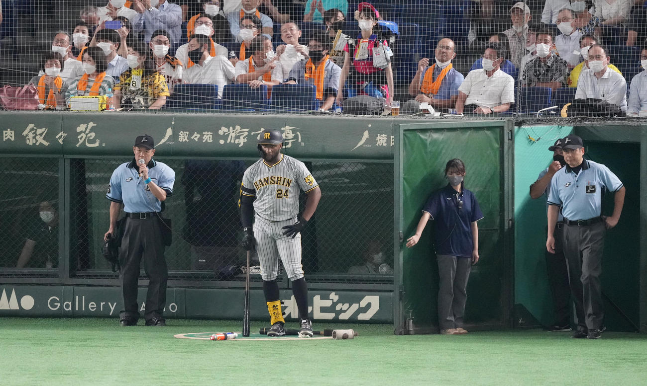 巨人対阪神　7回表阪神1死一塁、一塁走者熊谷（右）と吉川尚が交錯した際の判定を説明する球審（左端）（撮影・菅敏）