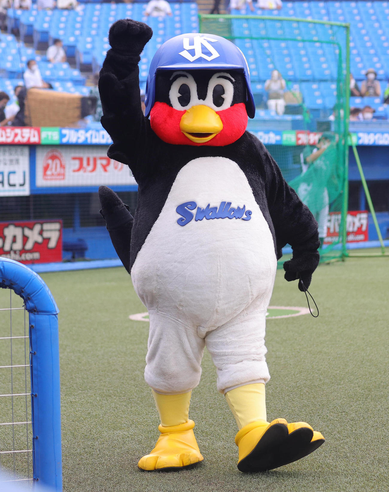 新型コロナウイルス感染から回復し、復帰したつば九郎（撮影・野上伸悟）