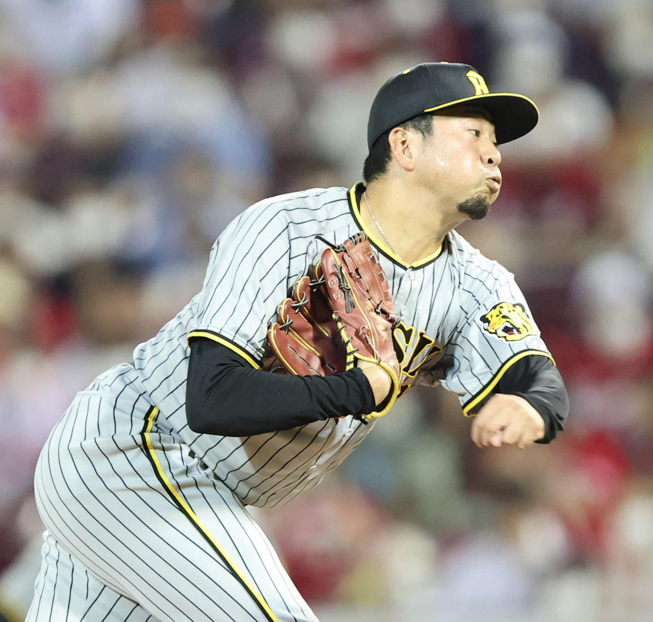 阪神渡辺雄大（2022年7月20日撮影）