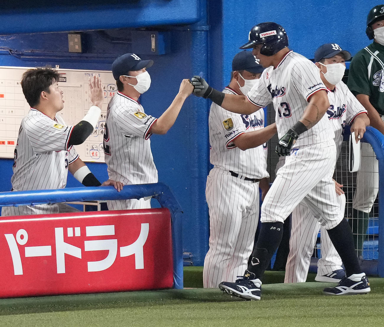 ヤクルト対巨人　9回裏ヤクルト1死満塁、左越え満塁本塁打を放ったオスナ（右手前）を迎える高津監督（左から2人目）（撮影・鈴木みどり）
