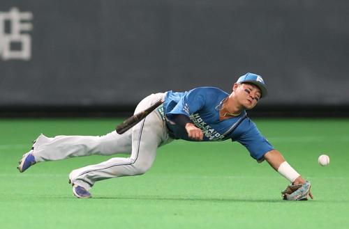 7月23日、日本ハム対ロッテ　打球に飛びつく日本ハム佐藤に折れたバットが直撃する