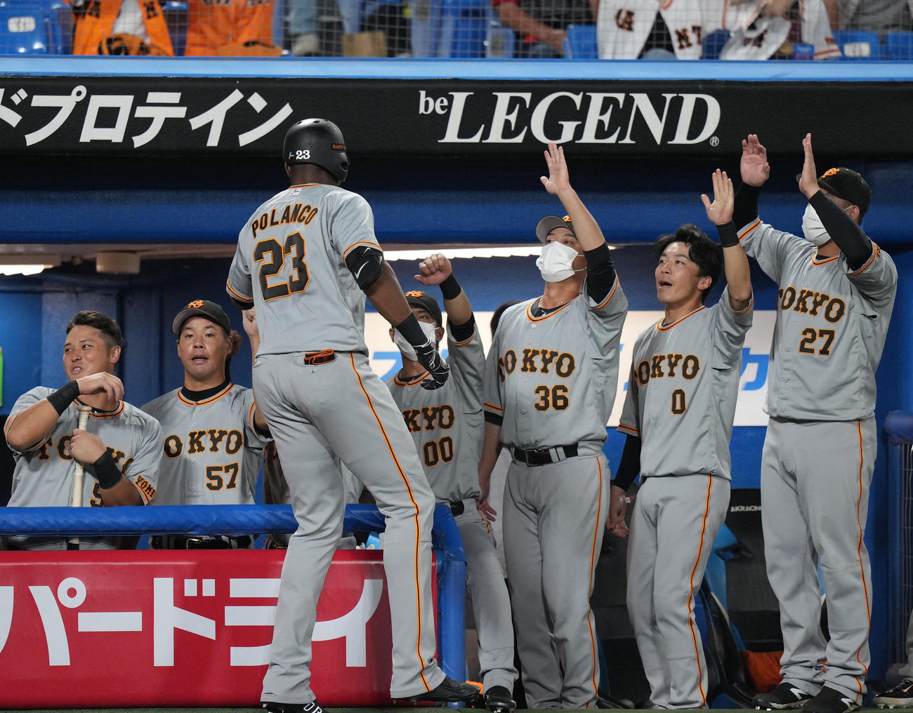 ヤクルト対巨人　6回表巨人1死一塁、右越えに同点の2点本塁打を放ち、ナインに迎えられるポランコ（左から3人目）（撮影・菅敏）