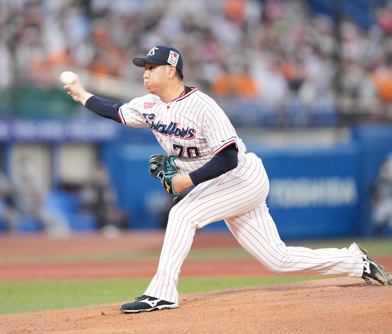 ヤクルト対巨人　ヤクルト先発の小沢（撮影・菅敏）