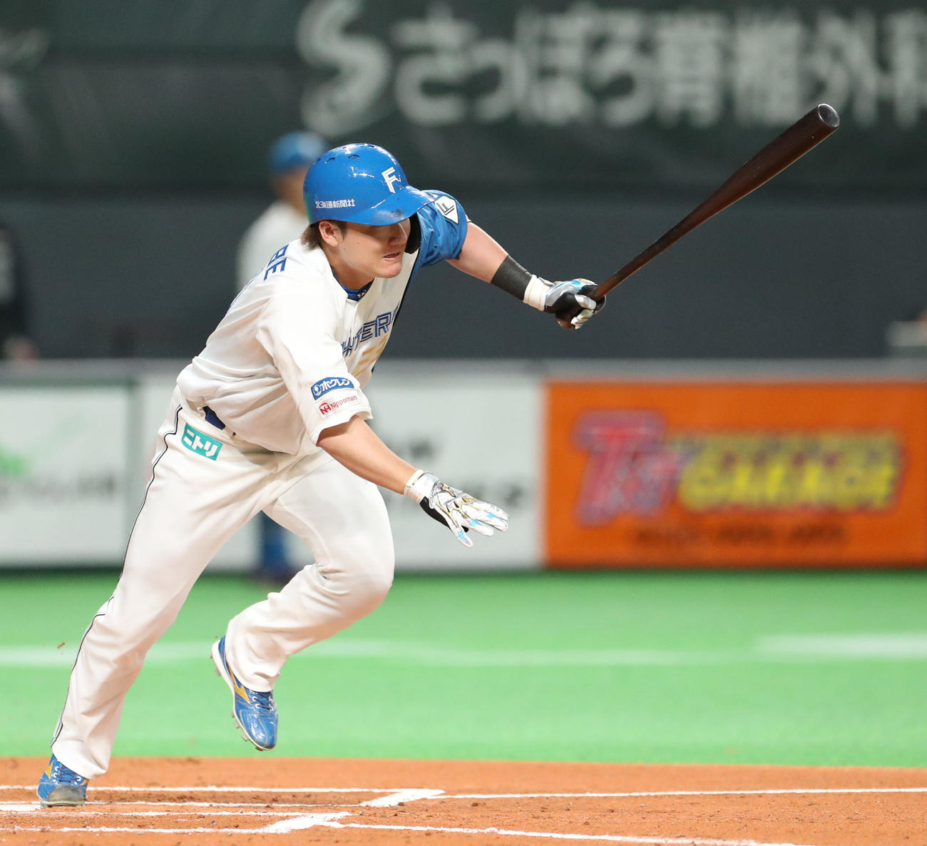 日本ハム渡辺諒（4月22日撮影）