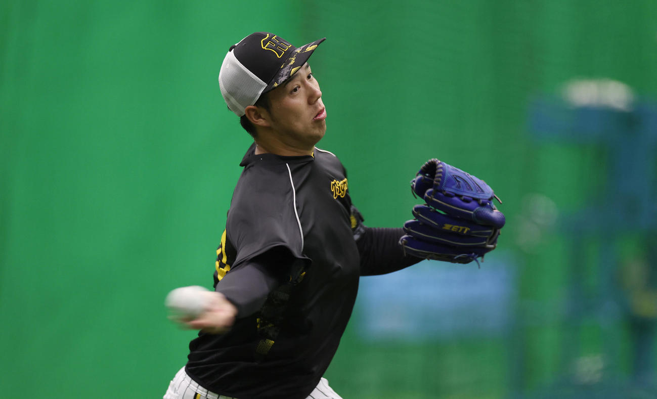 キャッチボールで調整する阪神青柳（撮影・前田充）