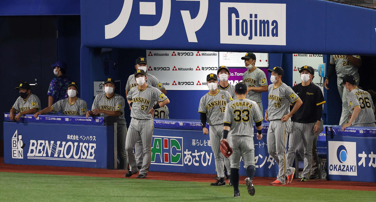 DeNA対阪神　9回裏DeNA2死一、三塁、大田にサヨナラ適時打を許し、ぼう然とする矢野監督（中央奥）ら阪神ベンチ（撮影・浅見桂子）