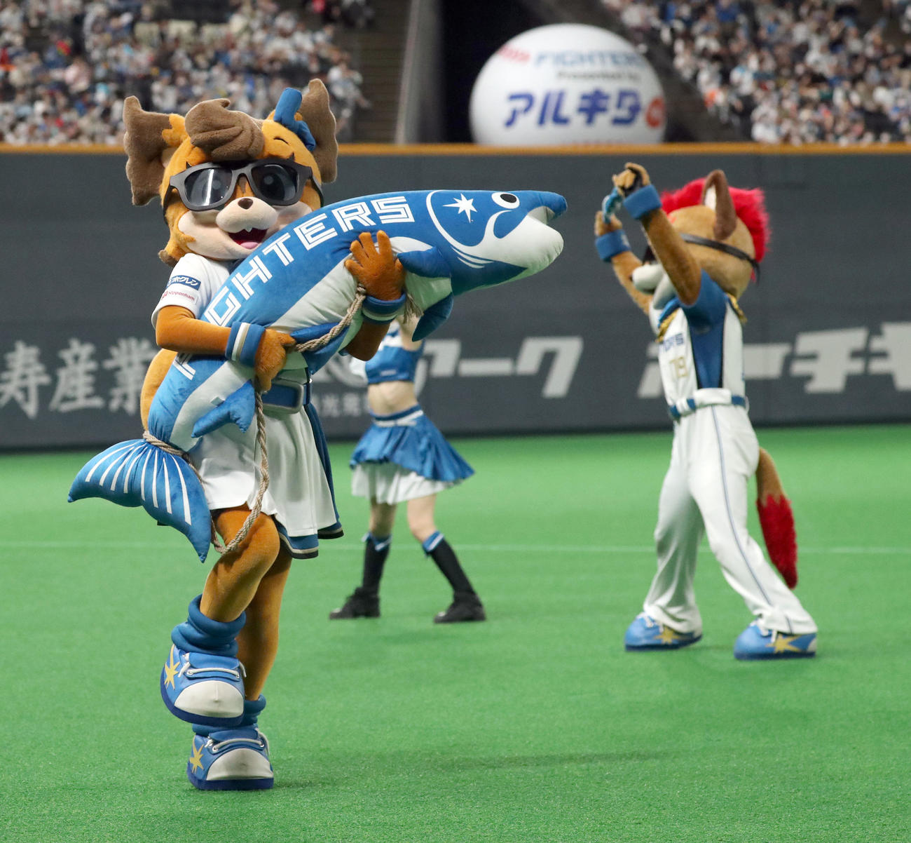 日本ハム対西武　大きな「しゃけまる」を持ちながら球場を盛り上げる球団マスコットのポリー（撮影・佐藤翔太）