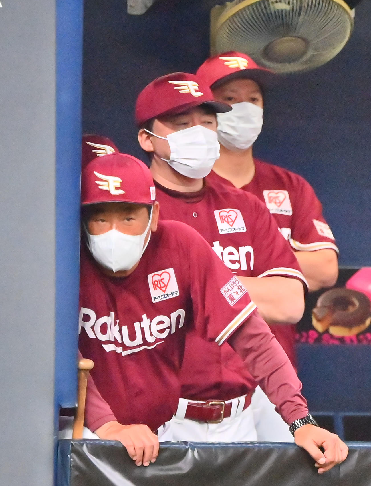 オリックス対楽天　ベンチから戦況を見守る楽天石井監督（撮影・和賀正仁）