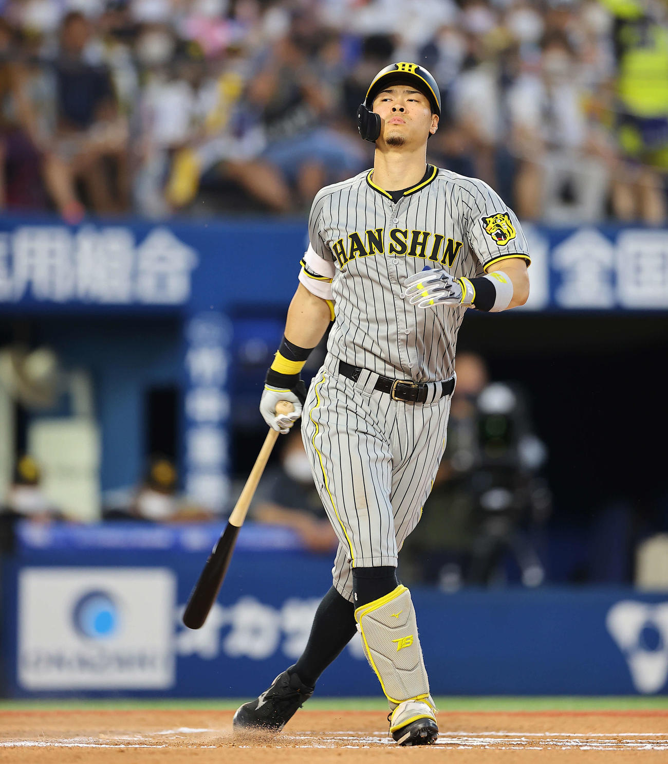 DeNA対阪神　6回表阪神2死二塁、空振り三振に倒れる佐藤輝明（撮影・垰建太）