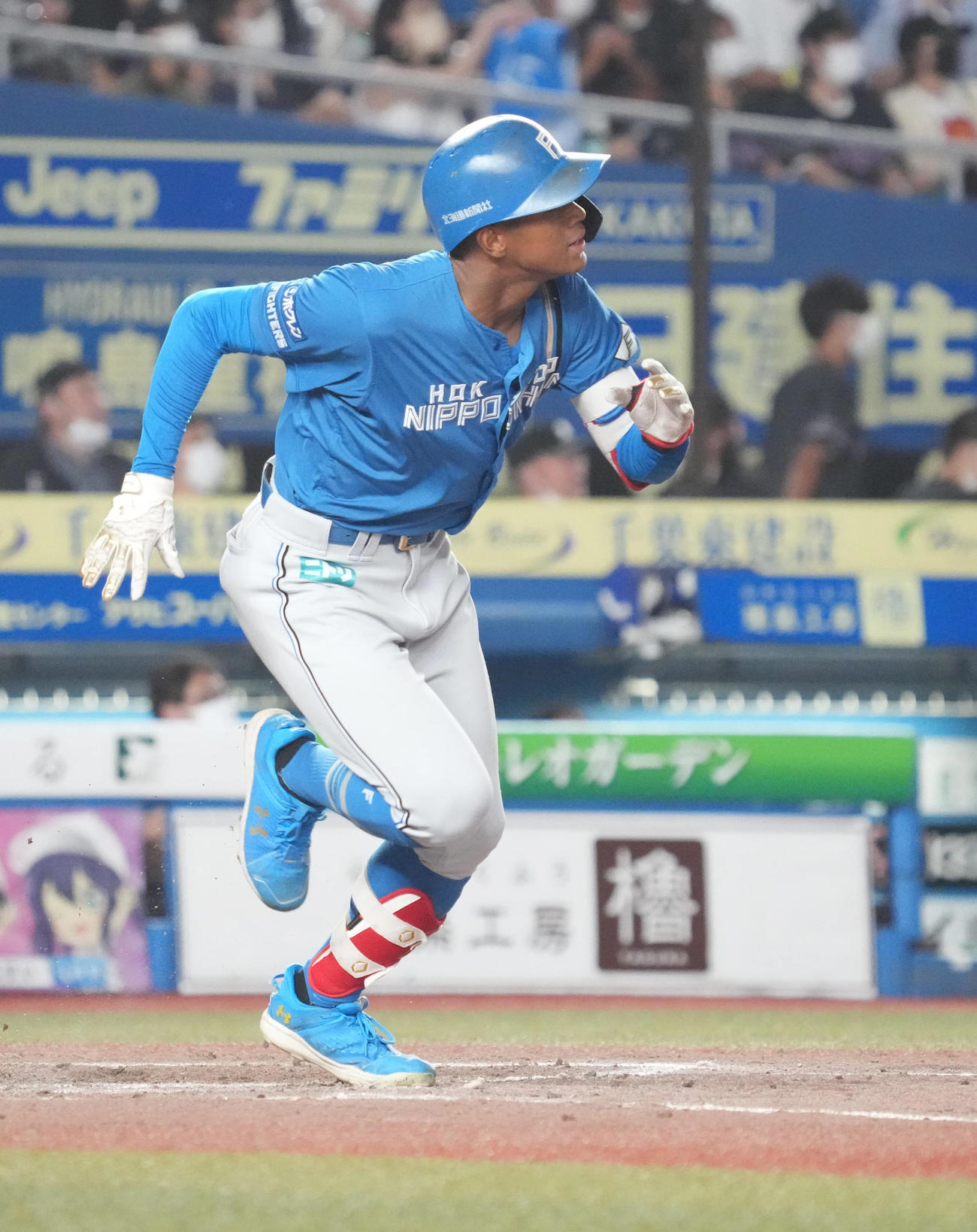 ロッテ対日本ハム　5回表日本ハム1死、万波は中越えにソロ本塁打を放つ（撮影・小沢裕）