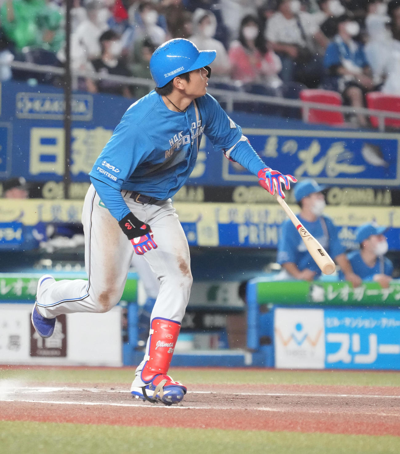 ロッテ対日本ハム　6回表日本ハム1死、日本ハム野村は左飛を放ち打球を見つめる（撮影・小沢裕）
