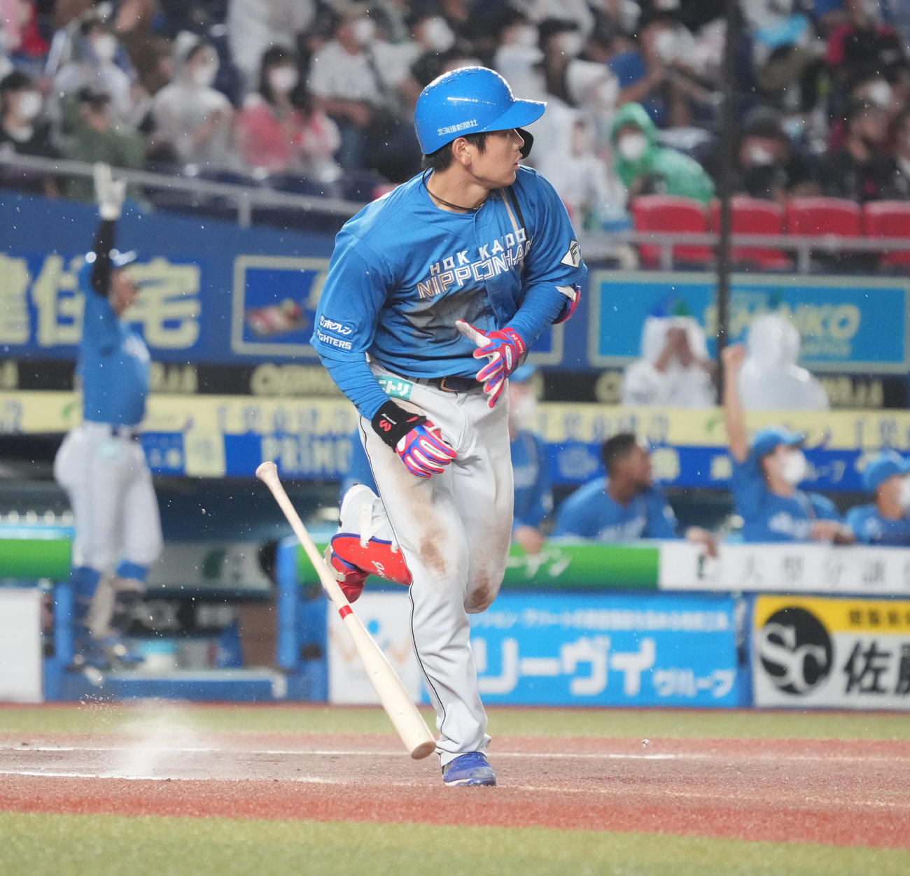 ロッテ対日本ハム　6回表日本ハム1死、日本ハム野村は左飛を放ち打球を見つめる（撮影・小沢裕）
