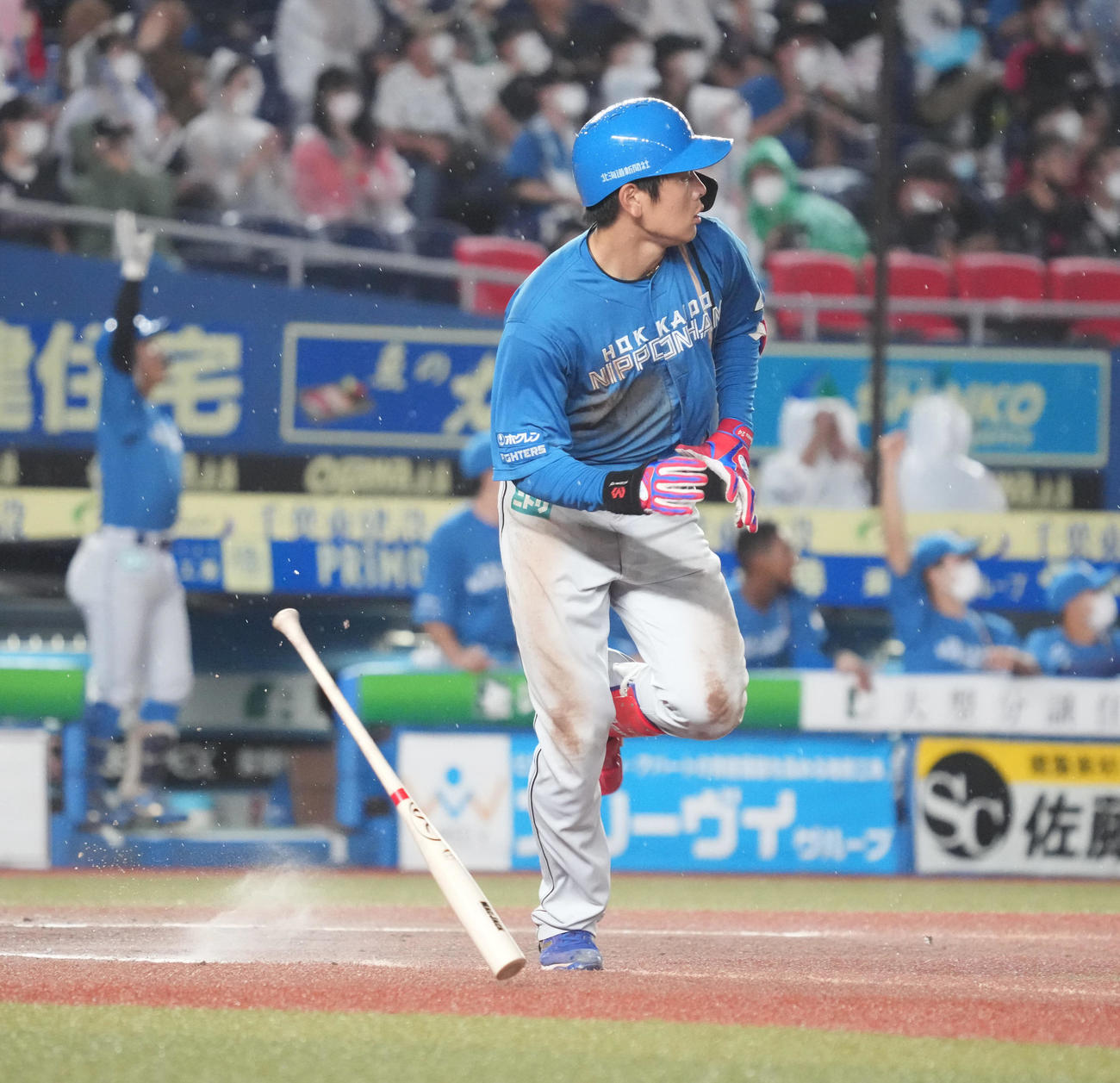 ロッテ対日本ハム　6回表日本ハム1死、日本ハム野村は左飛を放ち打球を見つめる（撮影・小沢裕）
