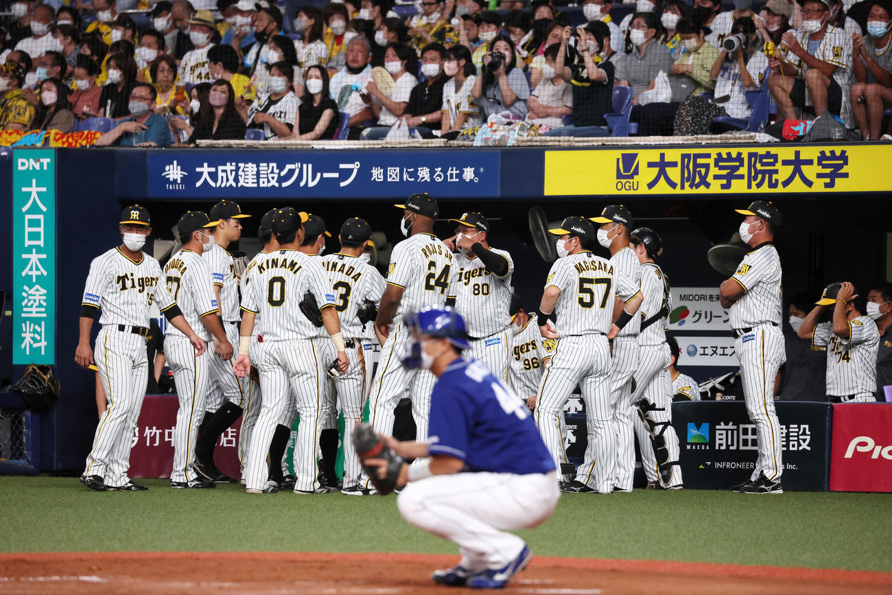 阪神対中日　4回裏を前にベンチで円陣を組む阪神ナイン（撮影・加藤哉）