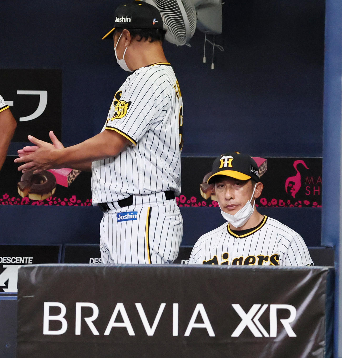 阪神対中日　2回裏、ベンチからグラウンドを見る矢野監督（撮影・加藤哉）