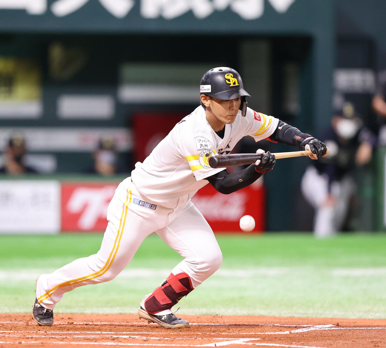 ソフトバンク対オリックス　1回裏ソフトバンク無死二塁、今宮健太は投前に犠安打を決める、山■（■は崎の大が立の下の横棒なし）福也の送球ミスで二塁の周東佑京はホームイン（撮影・梅根麻紀）