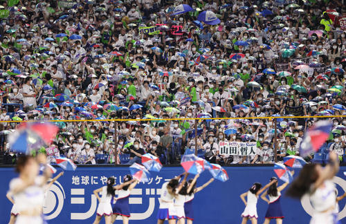 ヤクルト対DeNA満員御礼となった神宮球場（撮影・足立雅史）