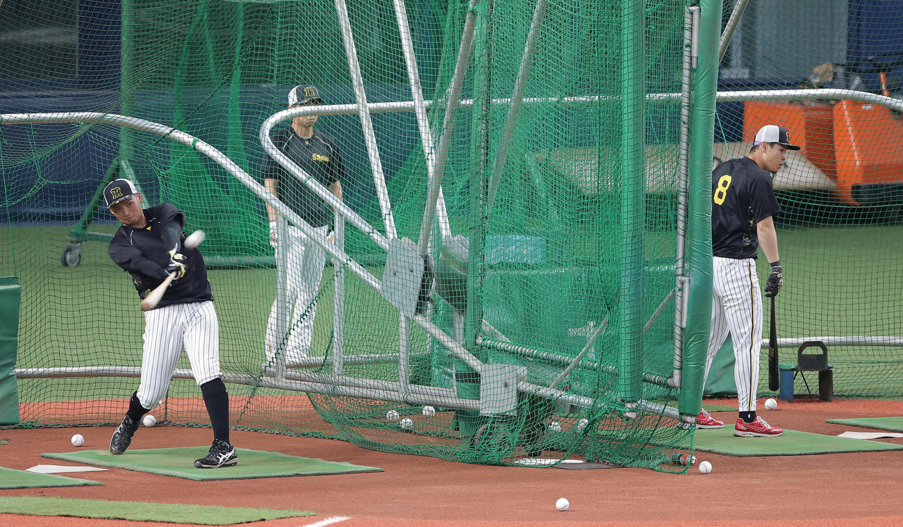 早出特打を行う阪神井上（左）と佐藤輝（撮影・前田充）
