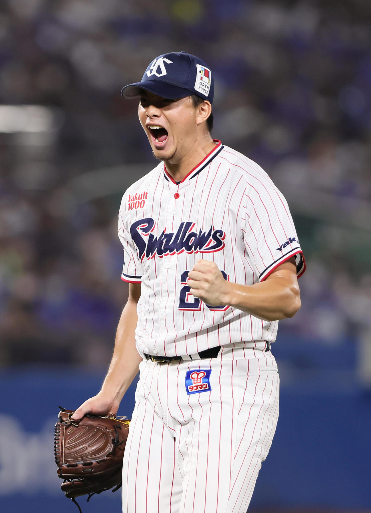 ヤクルト対DeNA  5回表DeNA2死一、二塁、宮崎を遊ゴロに仕留め雄たけびを上げる木沢（撮影・足立雅史）