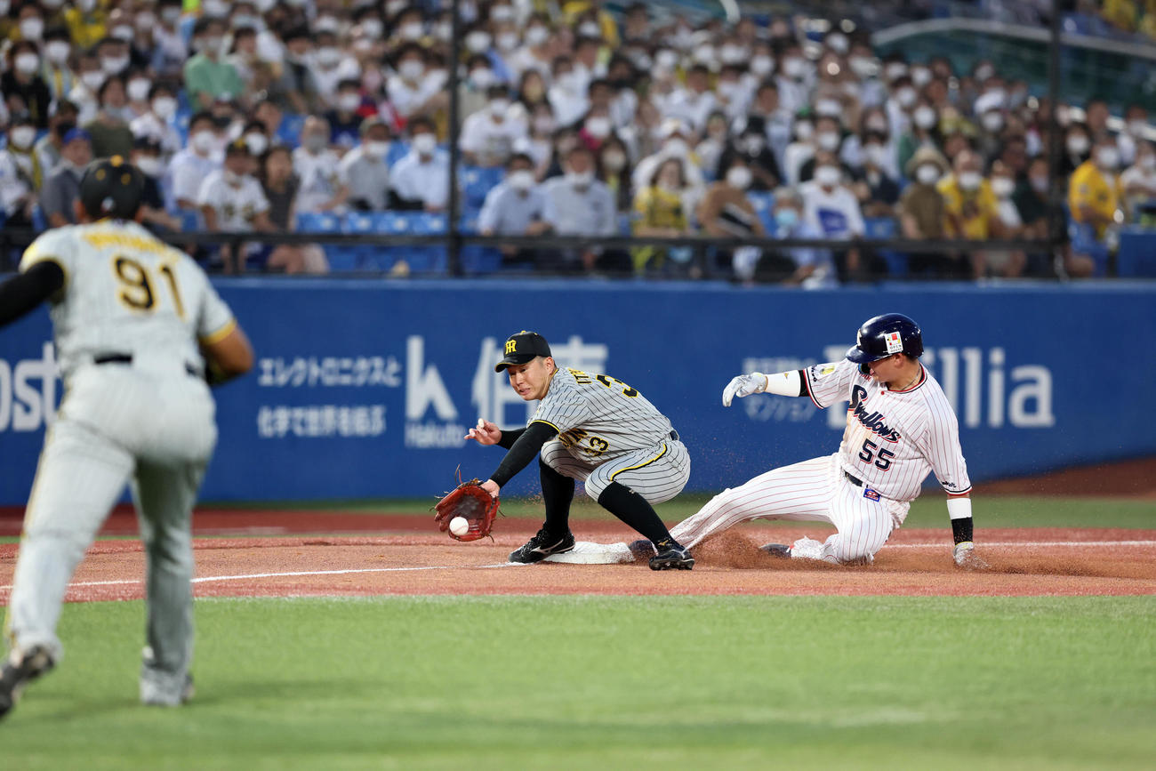 ヤクルト対阪神　2回裏ヤクルト無死一、二塁、ロドリゲスは中村の打球を三塁送球するが野選となる。三塁手は糸原（撮影・加藤哉）