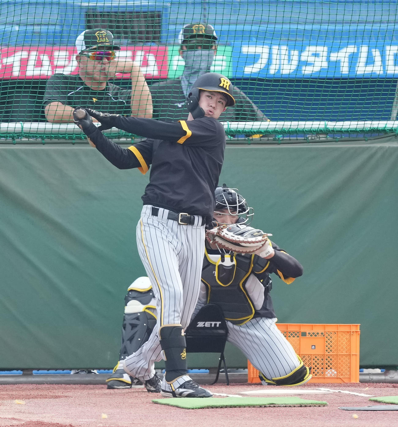 ヤクルト対阪神　試合前練習でフリー打撃を行う阪神中野（撮影・鈴木みどり）