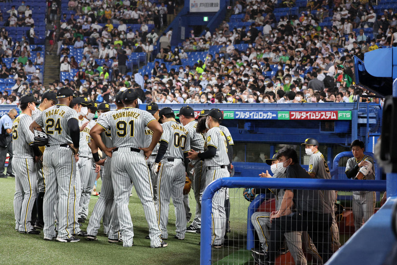 ヤクルト対阪神　4回表を前に円陣を組む阪神ナイン（撮影・加藤哉）