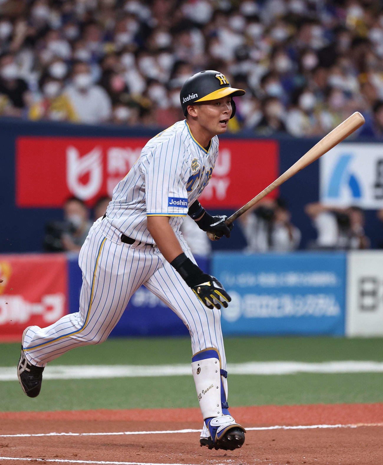 阪神井上広大（2022年8月14日撮影）