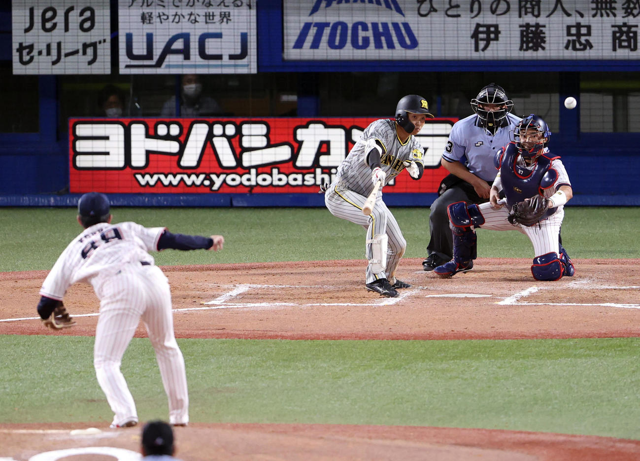 ヤクルト対阪神　7回表阪神2死一、三塁、適時打を放つ島田。投手今野（撮影・狩俣裕三）