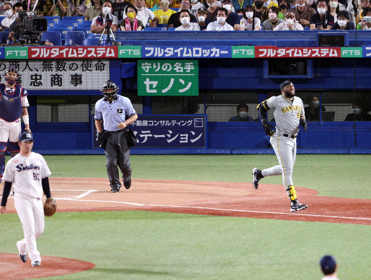 ヤクルト対阪神　7回表阪神2死一、三塁、自打球が右足に当たり、痛がり思わず三塁方向へ小走りするロハス・ジュニア（撮影・狩俣裕三）